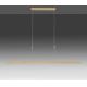 Lustră LED dimabilă pe cablu Paul Neuhaus 2568-60 ADRIANA LED/14W/230V alămie