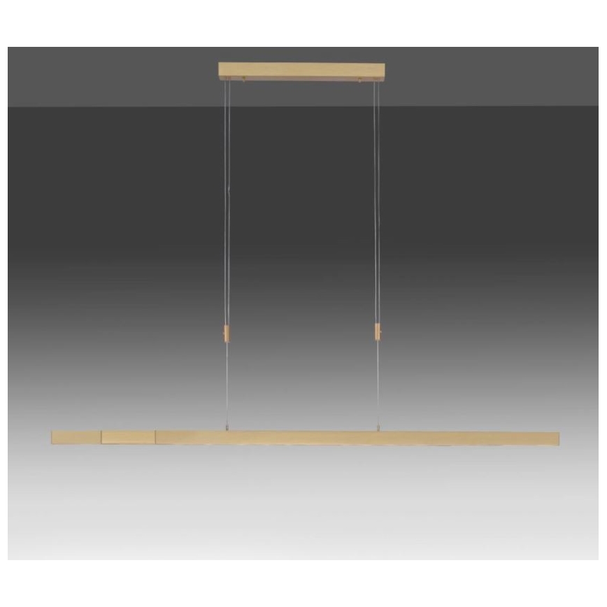 Lustră LED dimabilă pe cablu Paul Neuhaus 2568-60 ADRIANA LED/14W/230V alămie