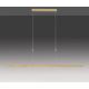 Lustră LED dimabilă pe cablu Paul Neuhaus 2568-60 ADRIANA LED/14W/230V alămie
