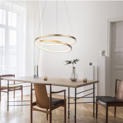 Lustră LED dimabilă pe cablu ROMAN LED/30W/230V aurie Paul Neuhaus 2472-12