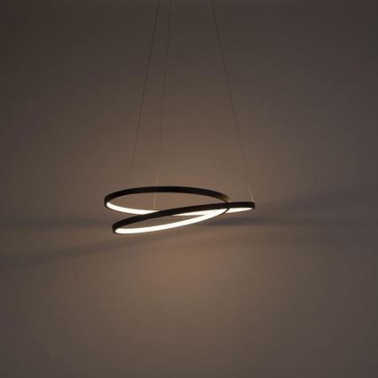 Lustră LED dimabilă pe cablu ROMAN LED/30W/230V neagră Paul Neuhaus 2472-18