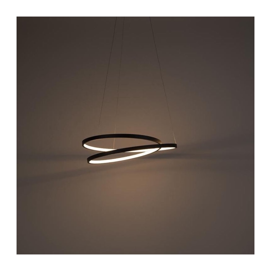 Lustră LED dimabilă pe cablu ROMAN LED/30W/230V neagră Paul Neuhaus 2472-18