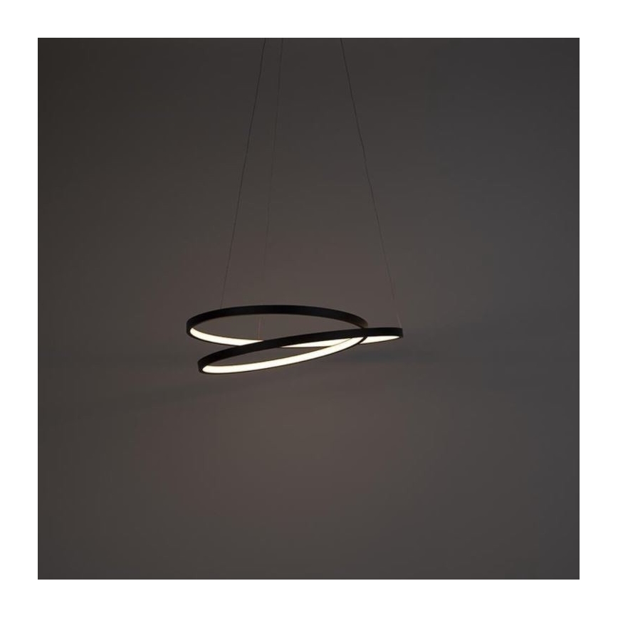 Lustră LED dimabilă pe cablu ROMAN LED/30W/230V neagră Paul Neuhaus 2472-18