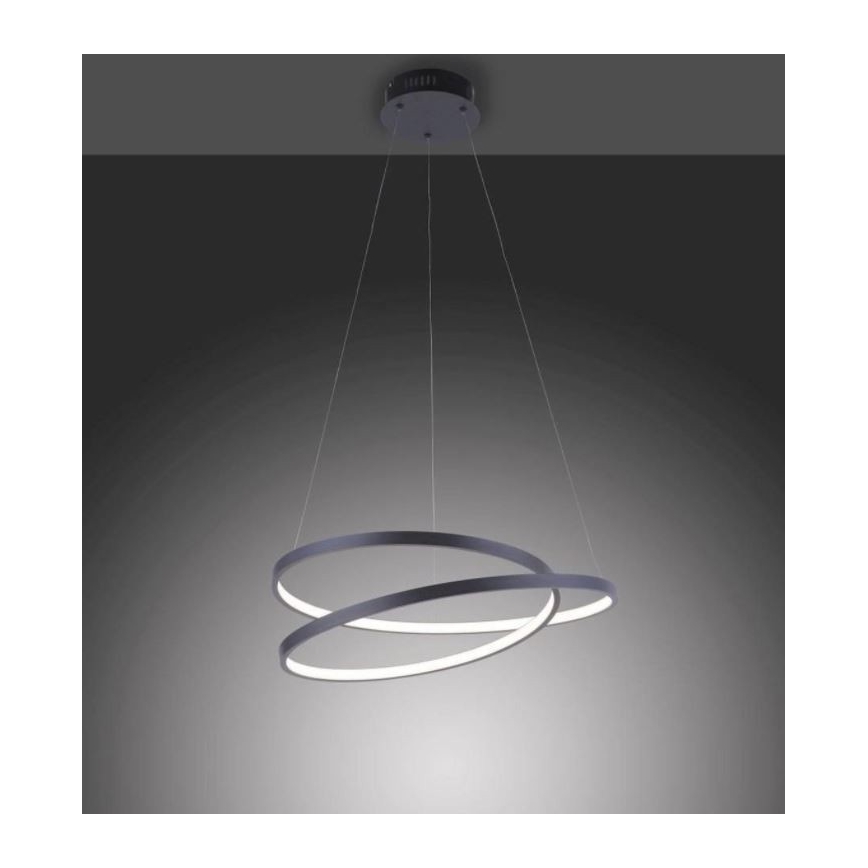 Lustră LED dimabilă pe cablu ROMAN LED/30W/230V neagră Paul Neuhaus 2472-18