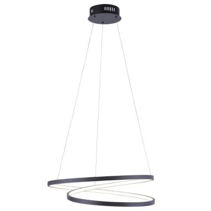 Lustră LED dimabilă pe cablu ROMAN LED/30W/230V neagră Paul Neuhaus 2472-18