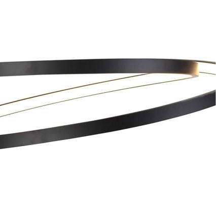 Lustră LED dimabilă pe cablu ROMAN LED/30W/230V neagră Paul Neuhaus 2472-18