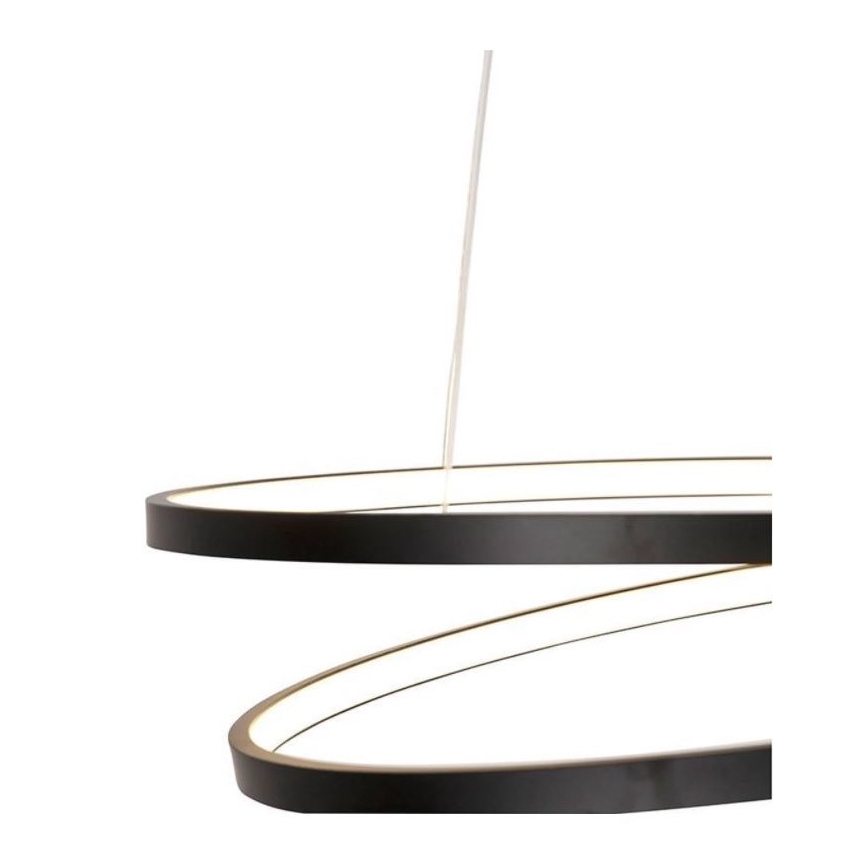 Lustră LED dimabilă pe cablu ROMAN LED/30W/230V neagră Paul Neuhaus 2472-18