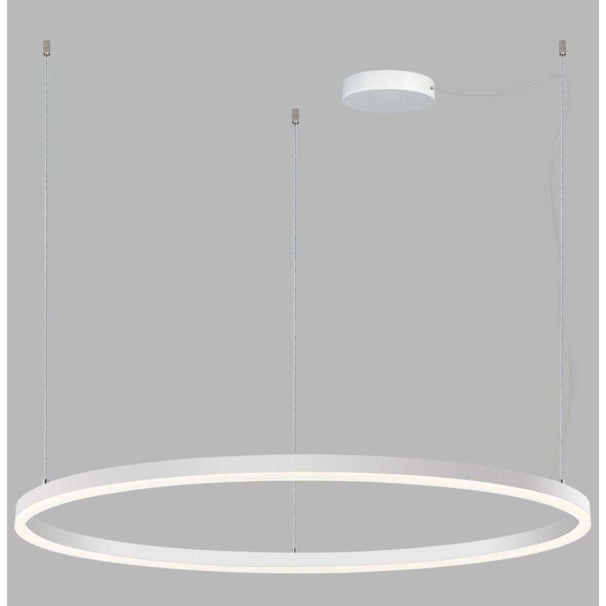 Lustră LED dimabilă pe cablu SATURN LED/80W/230V d. 100 cm alb LED2