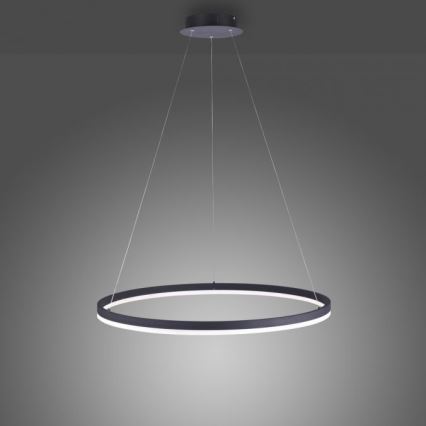 Lustră LED dimabilă pe cablu TITUS LED/50W/230V Paul Neuhaus 2383-13