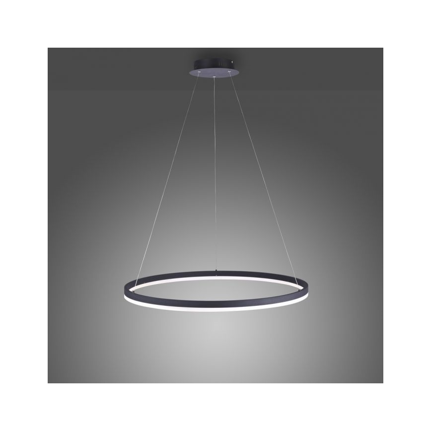 Lustră LED dimabilă pe cablu TITUS LED/50W/230V Paul Neuhaus 2383-13