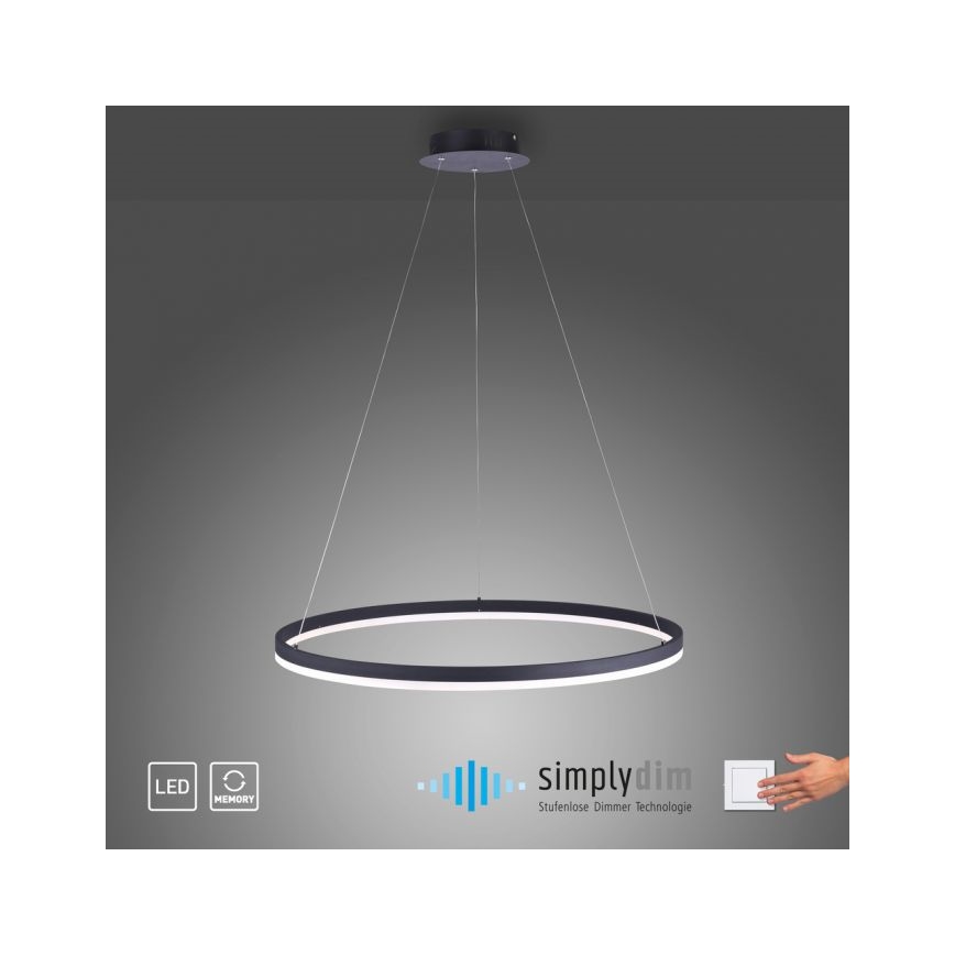 Lustră LED dimabilă pe cablu TITUS LED/50W/230V Paul Neuhaus 2383-13