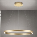 Lustră LED dimabilă suspendată pe cablu KOLK LED/80W/230V 2700/3000/4000K Ø 80 cm, auriu