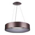 Lustră LED dimmabilă pe cablu LED/20W/230V
