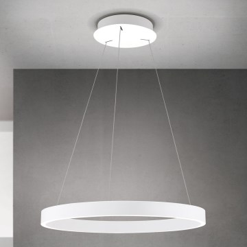 Lustră LED KOLK dimmabilă pe cablu LED/60W/230V 2700/3000/4000K Ø 60 cm alb