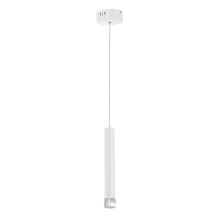 Lustră LED pe cablu ALBA 1xLED/5W/230V albă