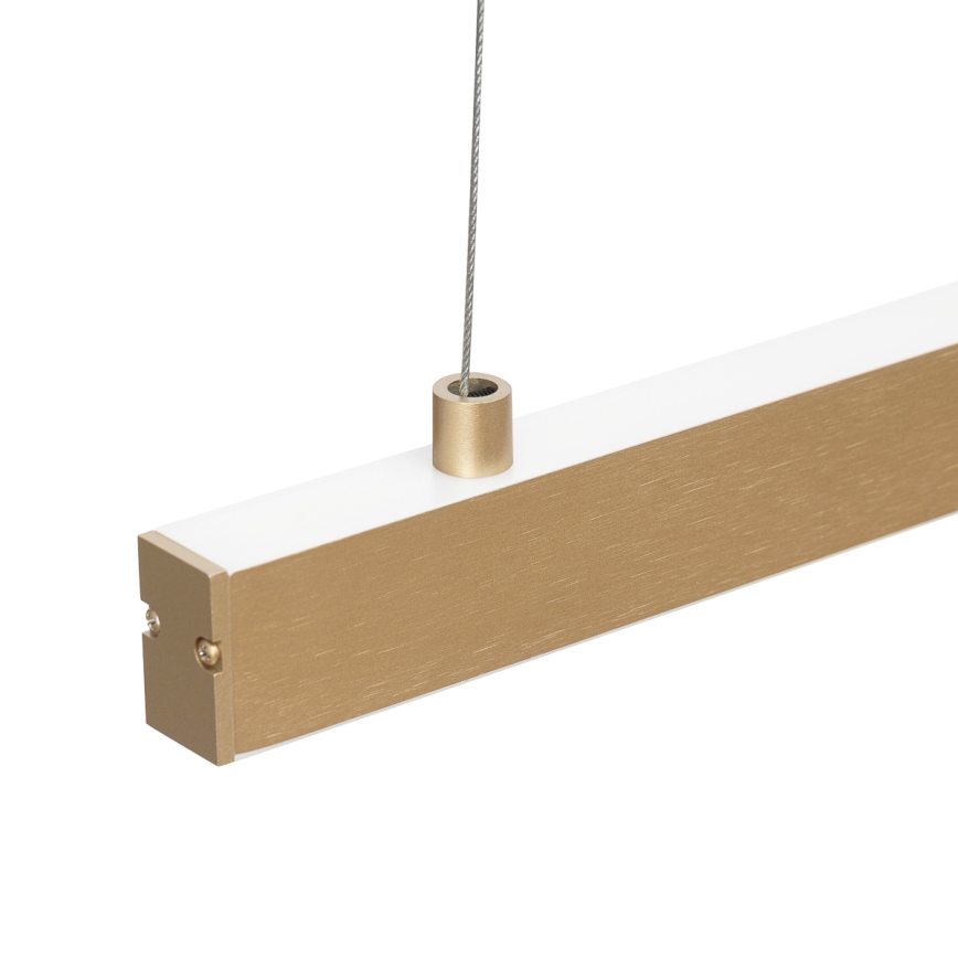 Lustră LED pe cablu Argon 8836 MIAMI LED/37W/230V 3000K auriu