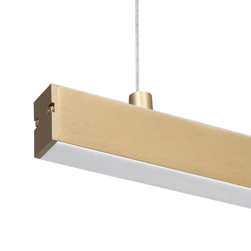 Lustră LED pe cablu Argon 8836 MIAMI LED/37W/230V 3000K auriu