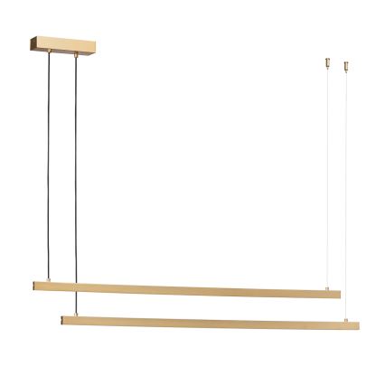 Lustră LED pe cablu Argon 8839 MIAMI LED/74W/230V 3000K auriu