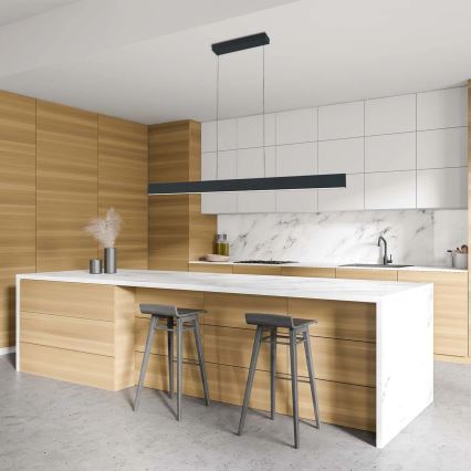 Lustră LED pe cablu BERNADETTA LED/20W/230V 4000K neagră