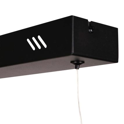 Lustră LED pe cablu BERNADETTA LED/20W/230V 4000K neagră