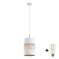 Lustră LED pe cablu BOGART 1xE27/15W/230V alb/auriu