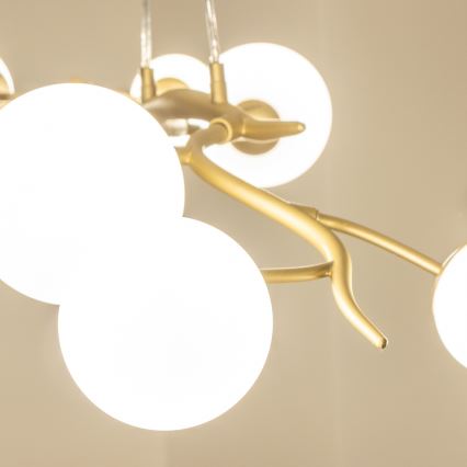 Lustră LED pe cablu Brilagi MISTEL 6xG9/3W/230V auriu/alb