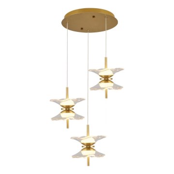 Lustră LED pe cablu BUTTERFLY 6xLED/5W/230V 3000K auriu