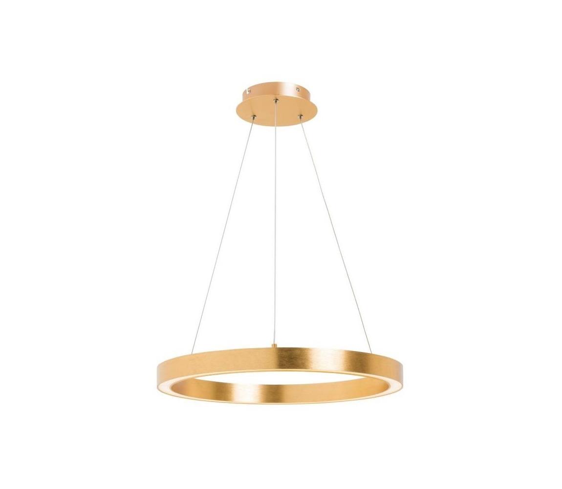 Lustră LED pe cablu CARLO 1xLED/40W/230V d. 60 cm aurie Zuma Line PL200910-600-GD