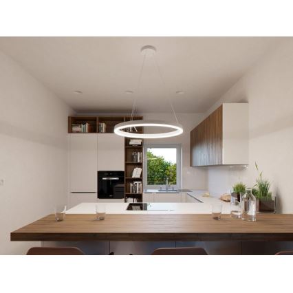 Lustră LED pe cablu CIRCLE LED/42W/230V LED2