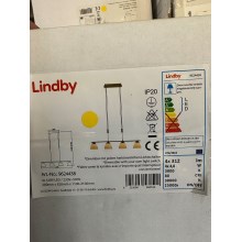 Lustră LED pe cablu dimabilă CERSEI 4xLED/4,8W/230V Lindby