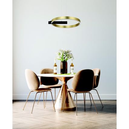 Lustră LED pe cablu dimabilă LED/41W/230V Zambelis 22011