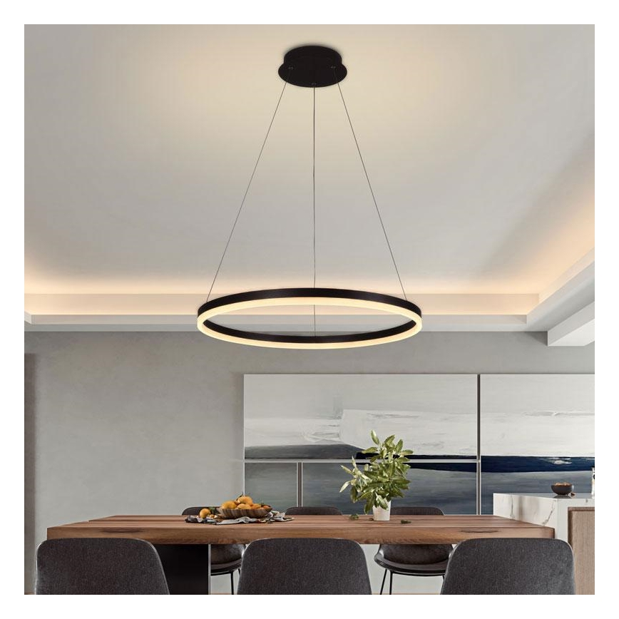 Lustră LED pe cablu dimabilă LED/42W/230V 3000-6500K + telecomandă