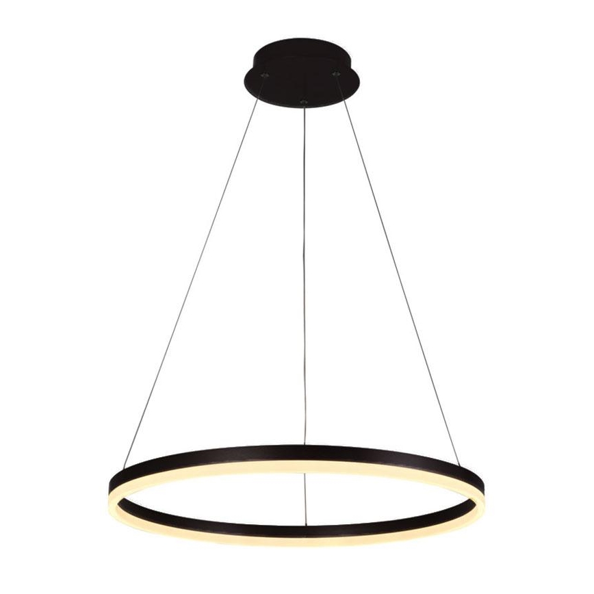 Lustră LED pe cablu dimabilă LED/42W/230V 3000-6500K + telecomandă