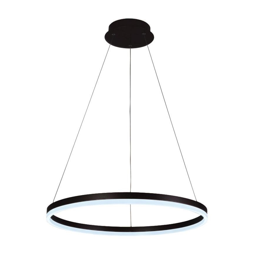 Lustră LED pe cablu dimabilă LED/42W/230V 3000-6500K + telecomandă