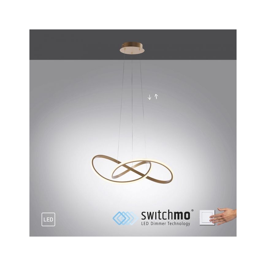 Lustră LED pe cablu dimabilă MARIA LED/25W/230V Leuchten Direkt 15402-60