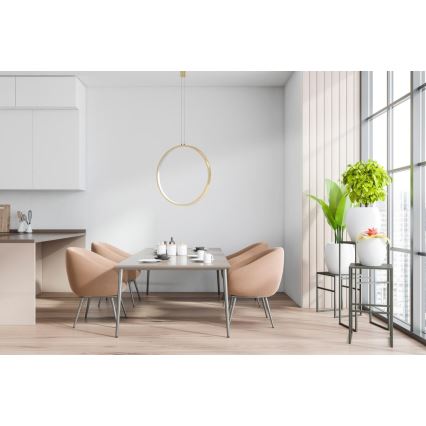 Lustră LED pe cablu dimabilă MASSIMA LED/25W/230V negru Azzardo AZ5254