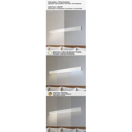 Lustră LED pe cablu dimabilă LED/24W/230V 2700/4000/6500K 120 cm Rabalux