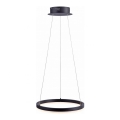 Lustră LED pe cablu dimabilă TITUS LED/28W/230V Paul Neuhaus 2381-13