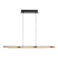 Lustră LED pe cablu LED/30W/230V 3000K Rabalux