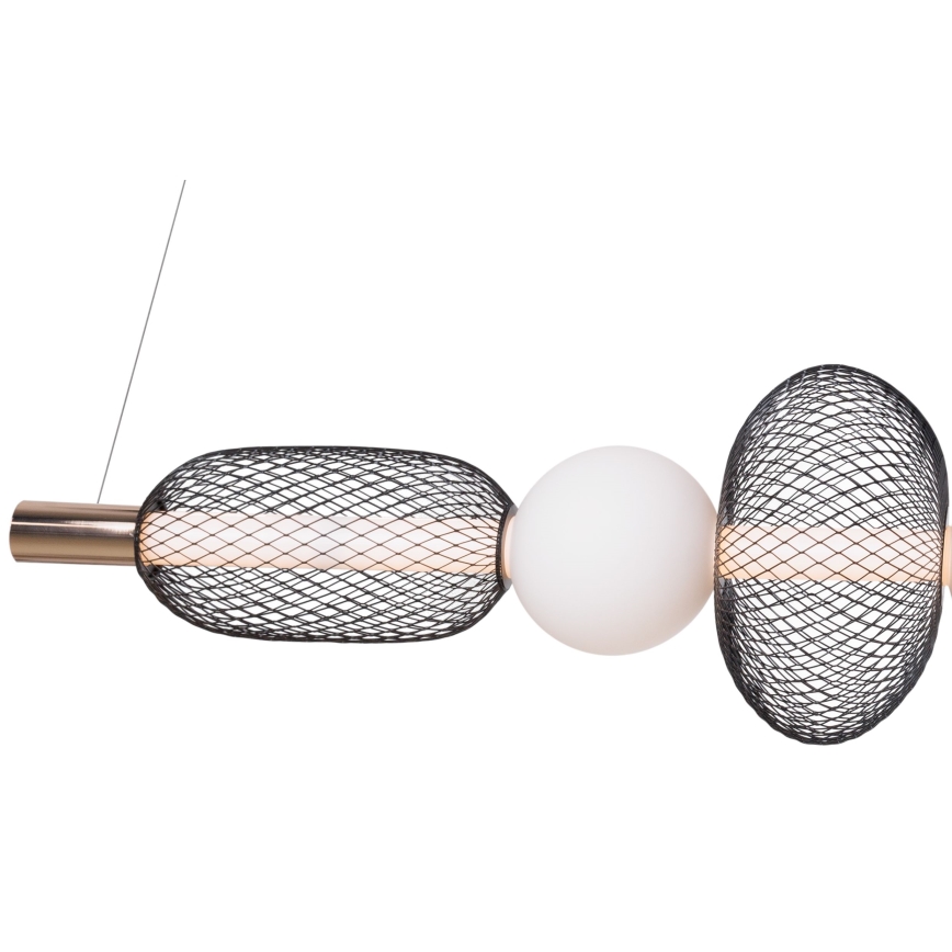 Lustră LED pe cablu MAXLIGHT P0593 BORA LED/29W/230V alb/negru