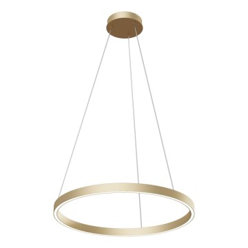 Lustră LED pe cablu Maytoni MOD058PL-L32BS4K RIM LED/37W/230V 4000K d. 60 cm auriu