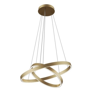 Lustră LED pe cablu Maytoni MOD058PL-L55BS3K RIM LED/61W/230V 3000K d. 60 cm auriu