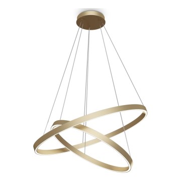 Lustră LED pe cablu Maytoni MOD058PL-L74BS3K RIM LED/88W/230V 3000K d. 80 cm auriu