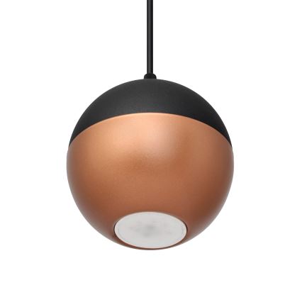 Lustră LED pe cablu MIDWAY 1xGU10/4,8W/230V negru/cupru