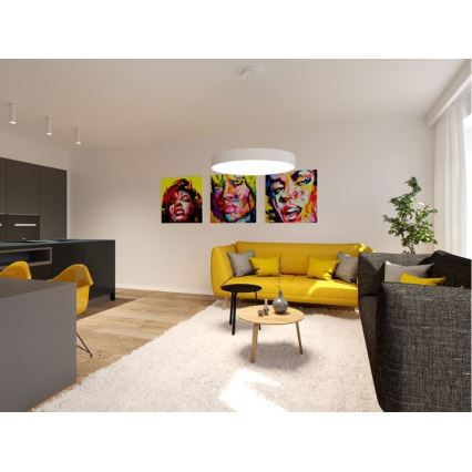 Lustră LED pe cablu MONO LED/60W/230V 3000/4000K albă LED2