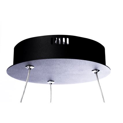 Lustră LED pe cablu ORION LED/22W/230V