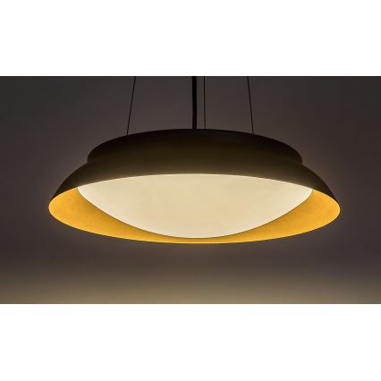 Lustră LED pe cablu Rabalux LED/24W/230V 3000K