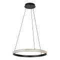 Lustră LED pe cablu Rabalux LED/32W/230V 3000K