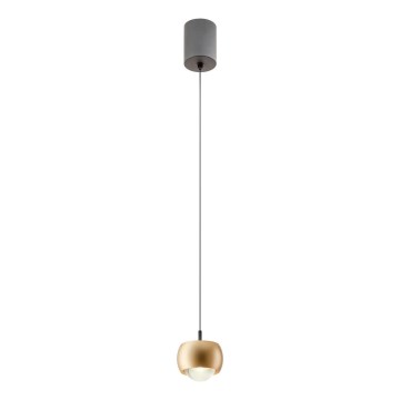 Lustră LED pe cablu Redo 01-3547 AVES LED/12W/230V CRI 90 auriu