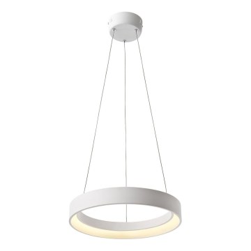 Lustră LED pe cablu Redo 01-671 LOOP LED/38W/230V d. 45 cm alb